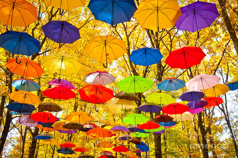 No Photograph - Autumn Umbrellas In The Sky by Oleksii Pyltsyn No Photograph - Autumn Umbrellas In The Sky by Oleksii Pyltsyn