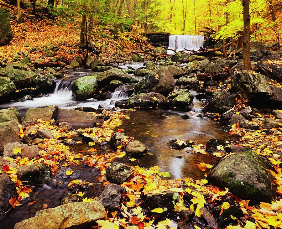 Autumn Waterfall In New York P #1 Photograph by Ron thomas
