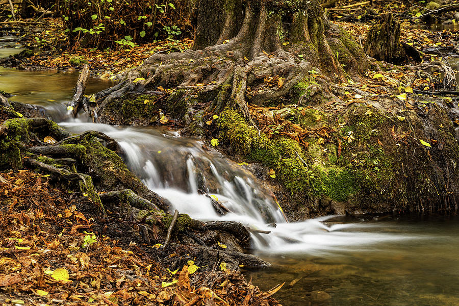 Autumn Waterfall #1 Photograph by Yorkfoto