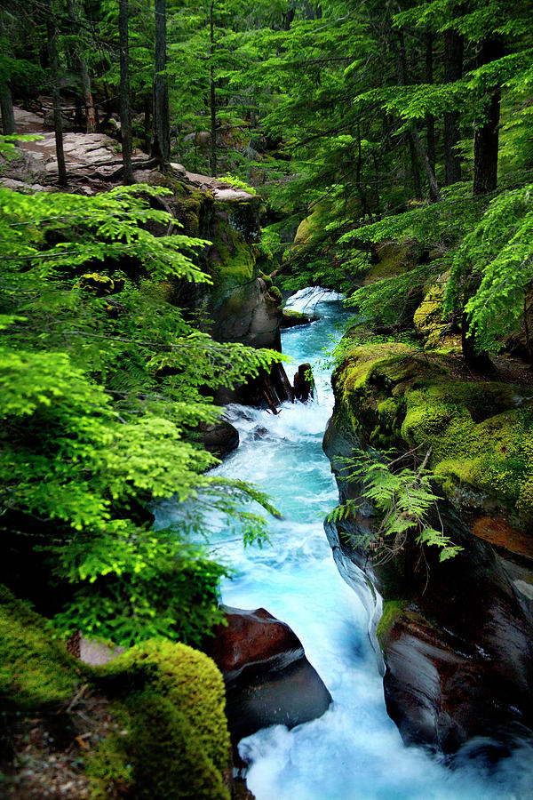 Avalanche Creek Waterfalls by David Chasey Avalanche Creek Waterfalls by David Chasey