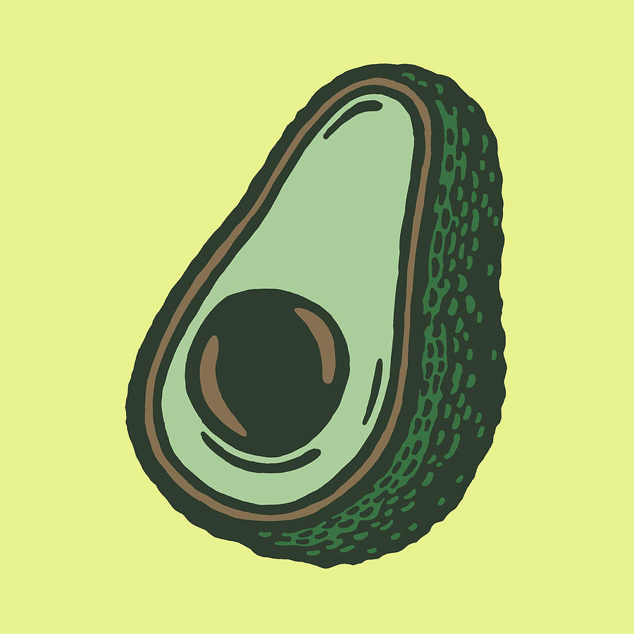 Vintage Drawing - Avocado #1 by CSA Images
