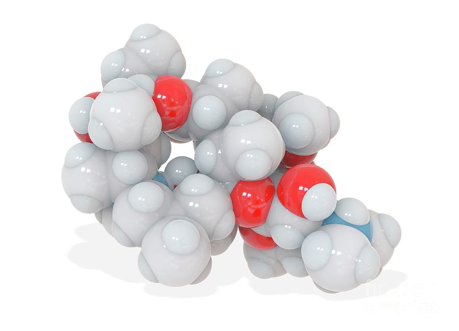 Nobody Photograph - Azithromycin Antibiotic Drug Molecule by Ramon Andrade 3dciencia/science Photo Library Nobody Photograph - Azithromycin Antibiotic Drug Molecule by Ramon Andrade 3dciencia/science Photo Library