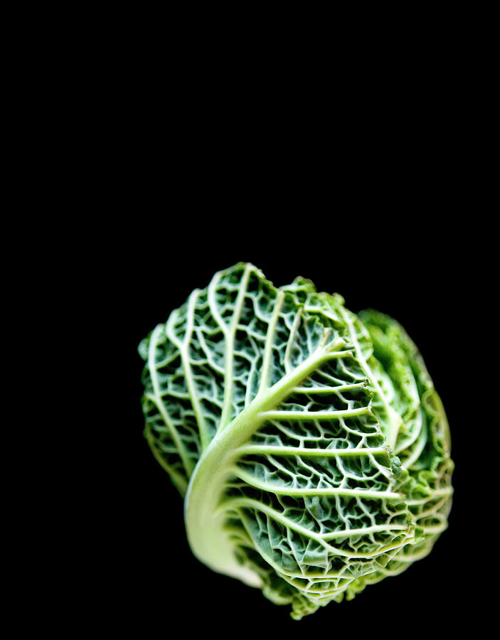 Baby Green Cabbage #1 Photograph by Charity Burggraaf