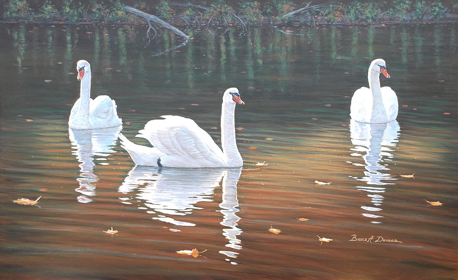 Bird Painting - Back Lit Swans #1 by Bruce Dumas