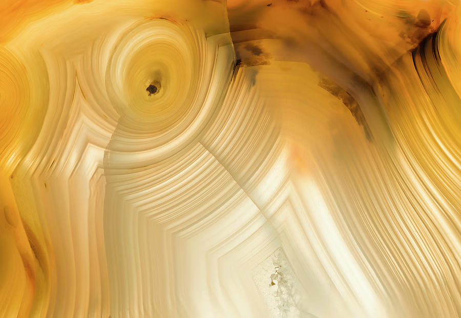 Backlit Brazilian Agate, Closeup #1 Photograph by Mark Windom