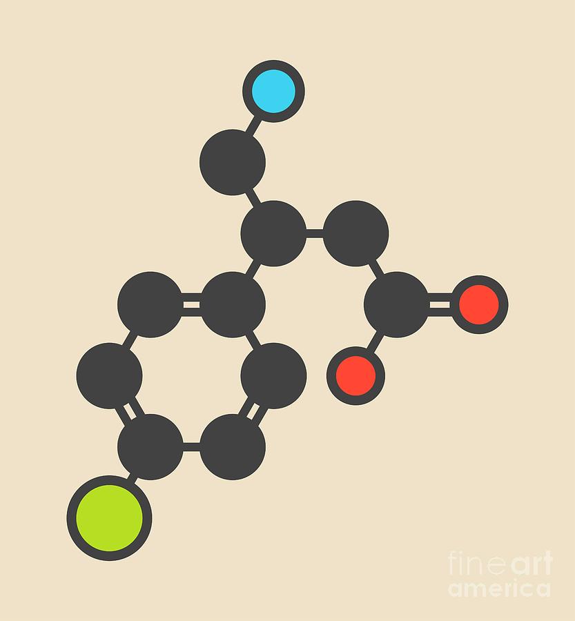 Spastic Photograph - Baclofen Drug Molecule #1 by Molekuul/science Photo Library