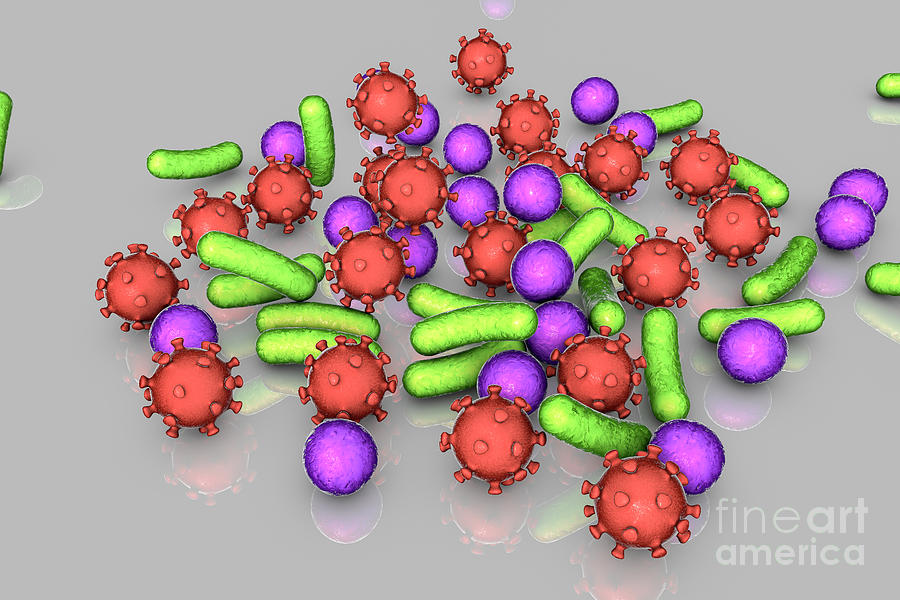 Bacteria Photograph - Bacteria And Viruses #1 by Kateryna Kon/science Photo Library