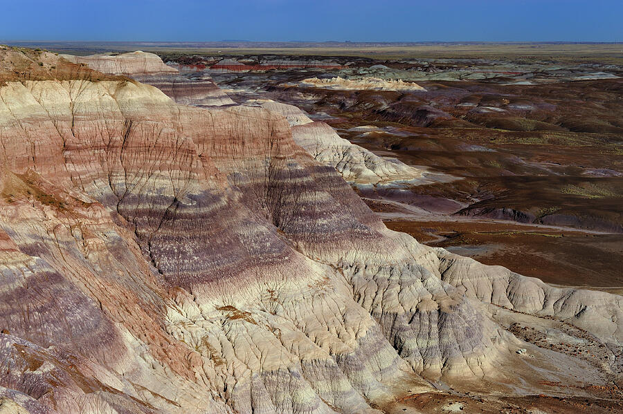 Badlands Formations In Blue Mesa, Painted Desert, Petrified #1 Photograph by Jouan Rius / Naturepl.com Badlands Formations In Blue Mesa, Painted Desert, Petrified #1 Photograph by Jouan Rius / Naturepl.com