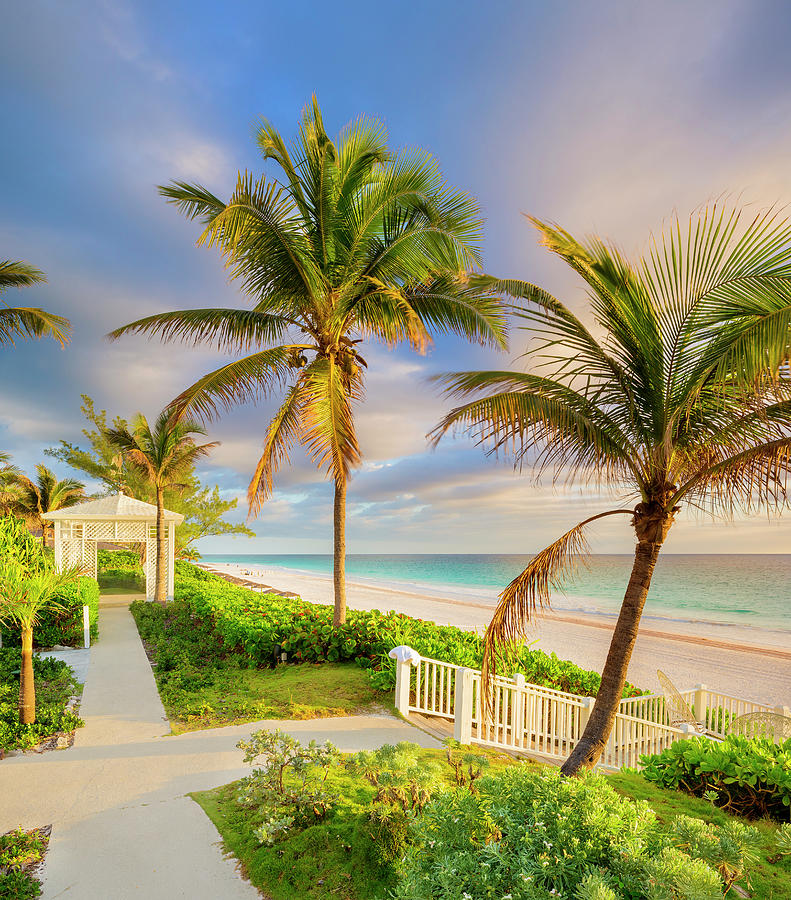 Bahamas, Harbor Island, Caribbean Sea, Atlantic Ocean, Caribbean, Pink Sands Beach #1 Digital Art by Pietro Canali