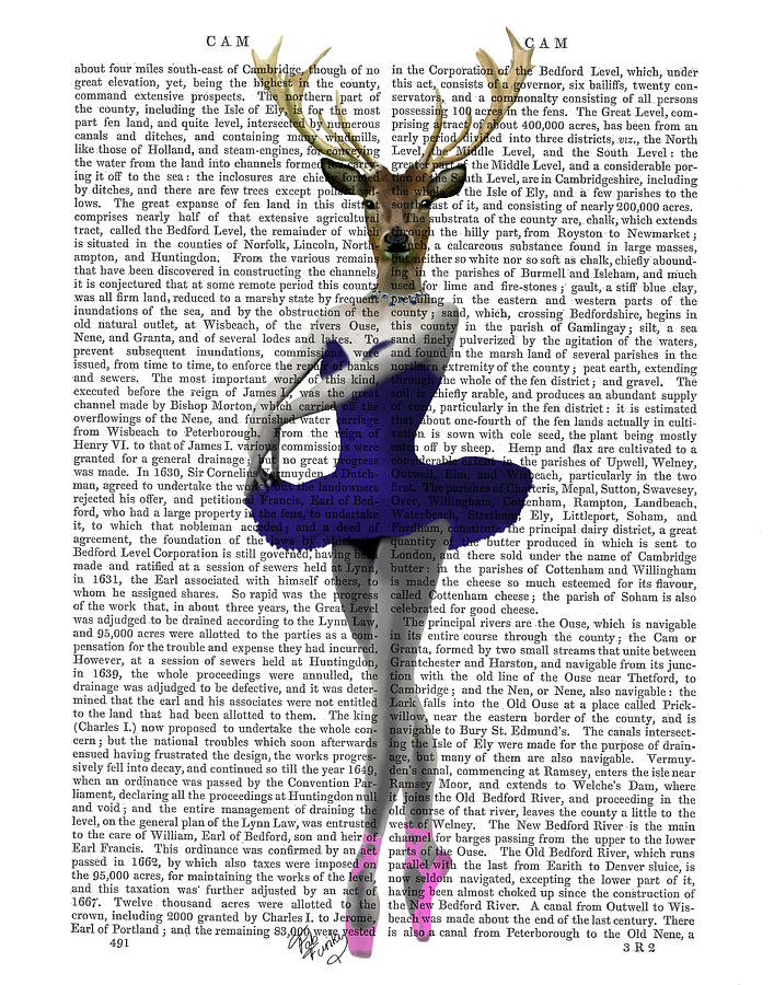 Ballet Deer In Blue #1 Painting by Fab Funky