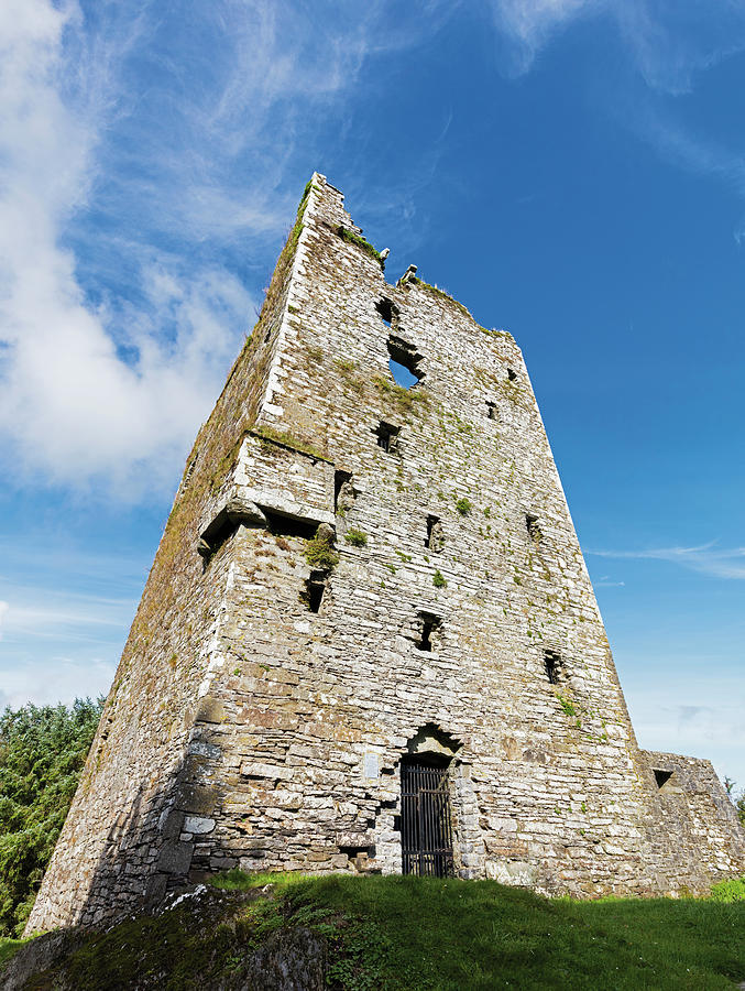 Architecture Photograph - Ballinacarriga Castle, County Cork #1 by Ken Welsh