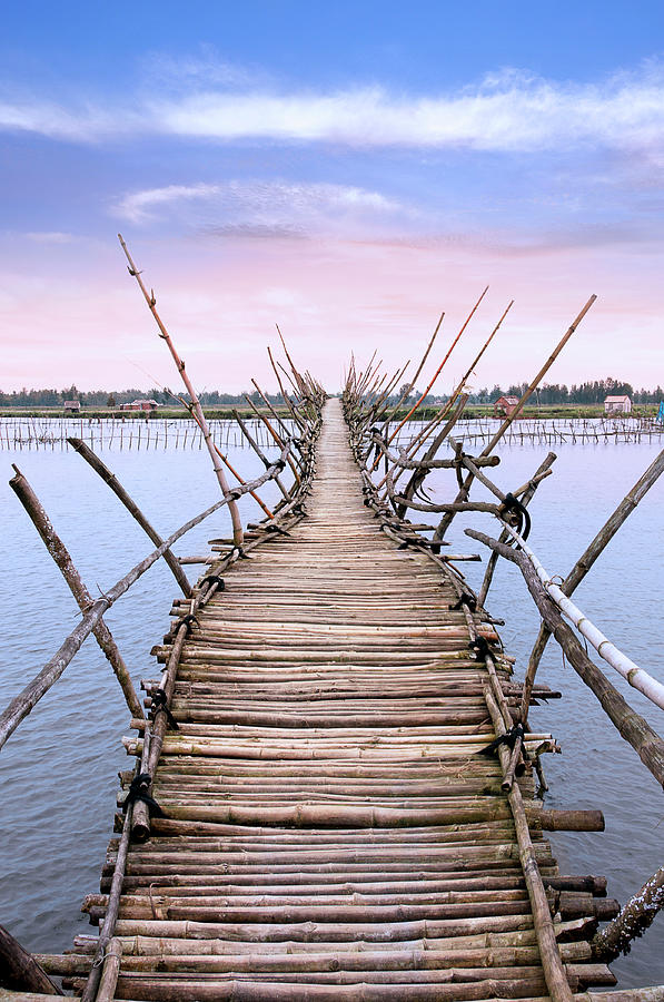Bamboo Bridge #1 Photograph by Maxphotography
