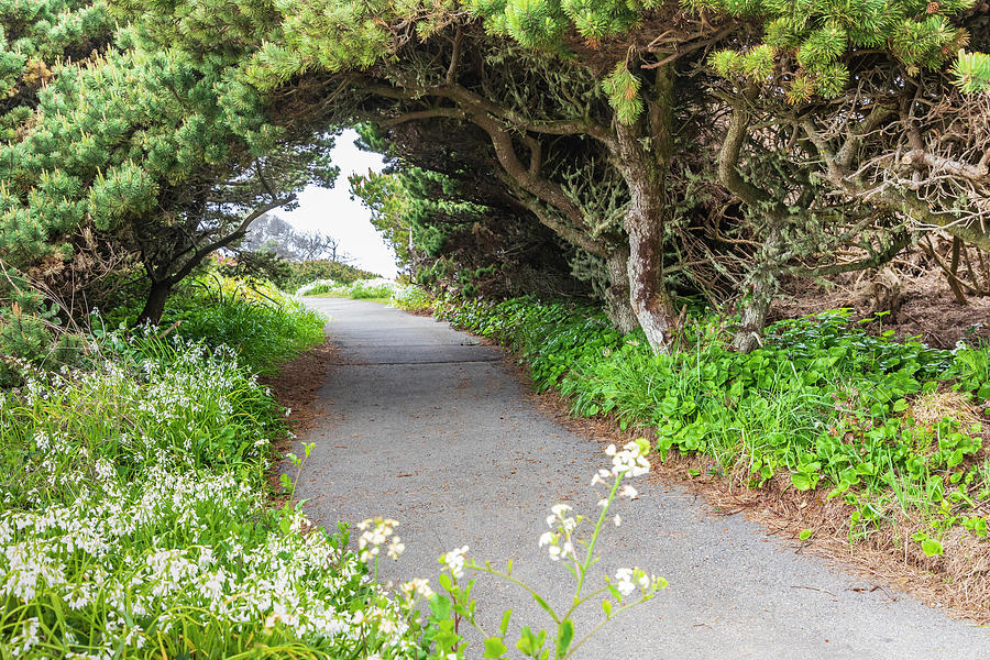 Bandon, Oregon, USA #1 Photograph by Emily Wilson - Fine Art America