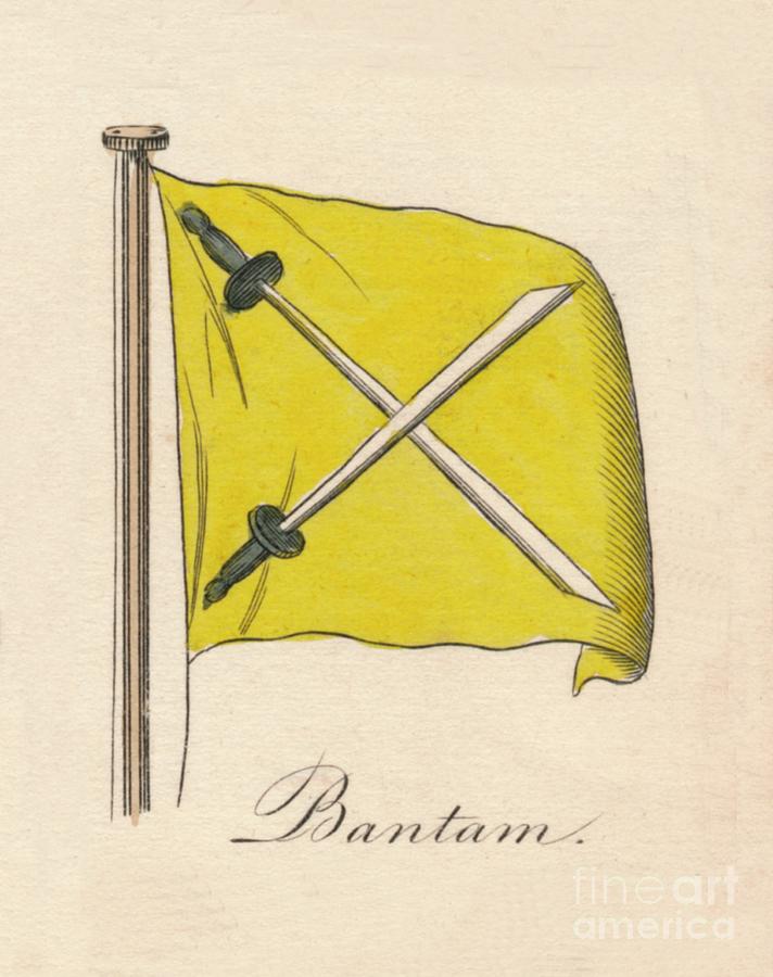 Bantam, 1838 #1 Drawing by Print Collector