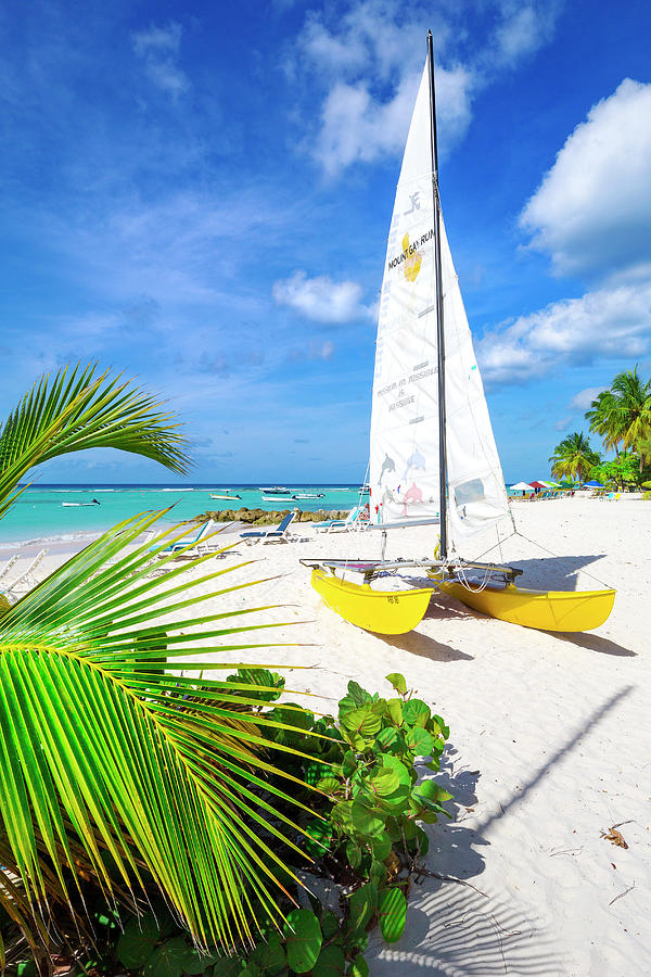 Barbados, West Indies, Sandy Beach #1 Digital Art by Pietro Canali