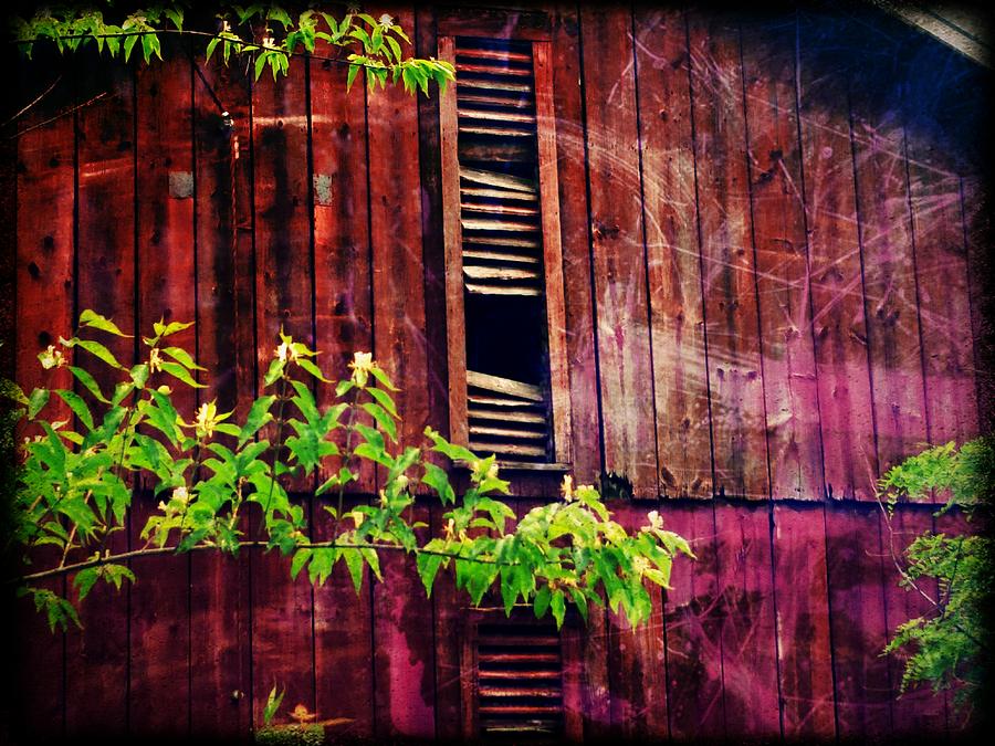 Barn in Shade by Michael L Kimble Barn in Shade by Michael L Kimble