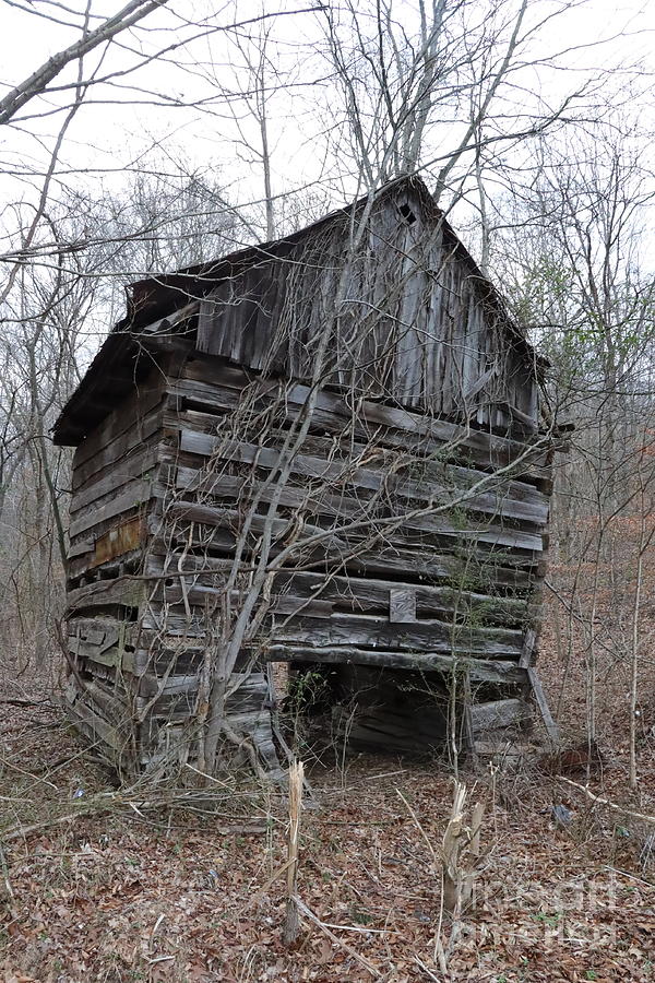 Barn In The Woods Photograph By Dwight Cook