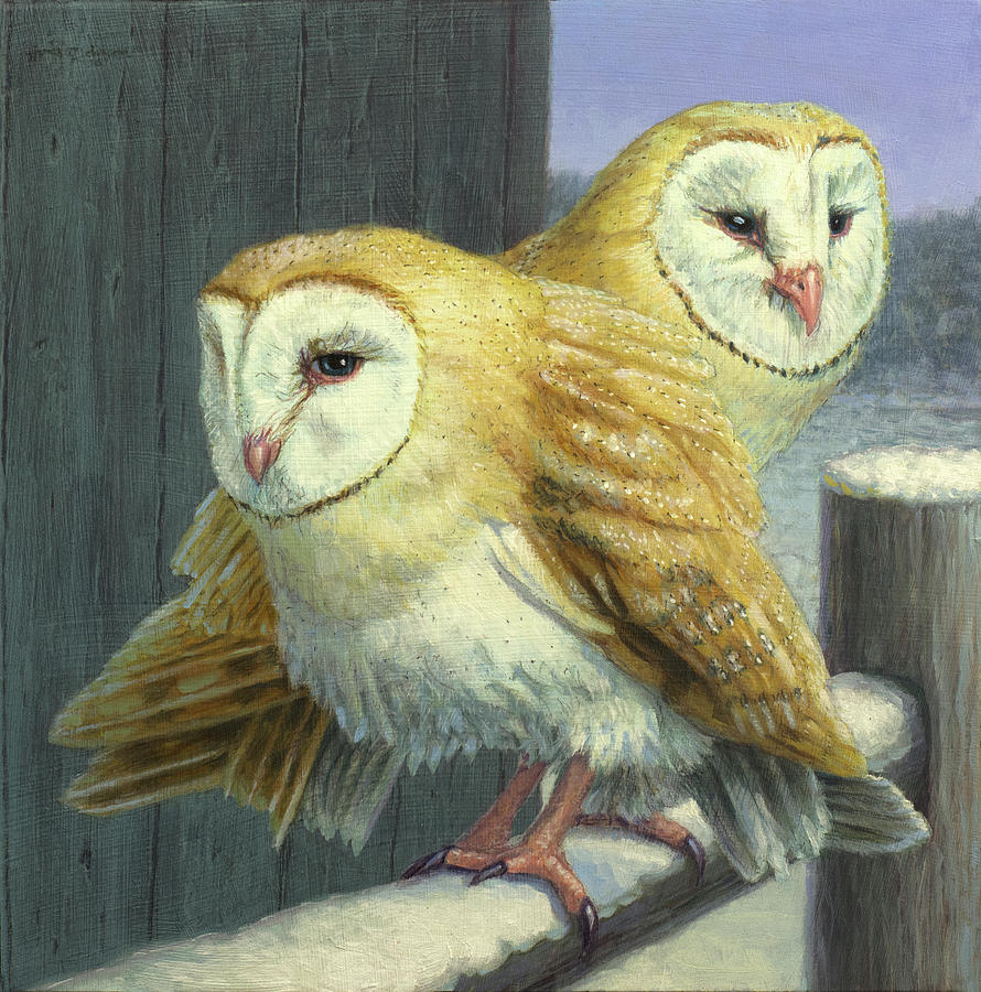 Owl Photograph - Barn Owl Couple #1 by James W. Johnson