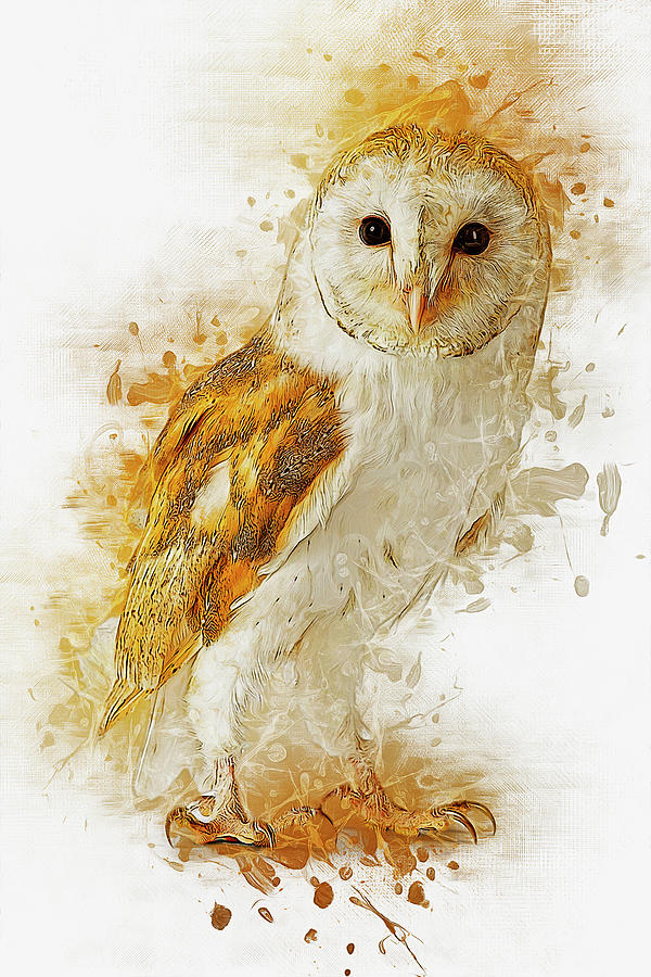 Barn Owl #1 Digital Art by Ian Mitchell