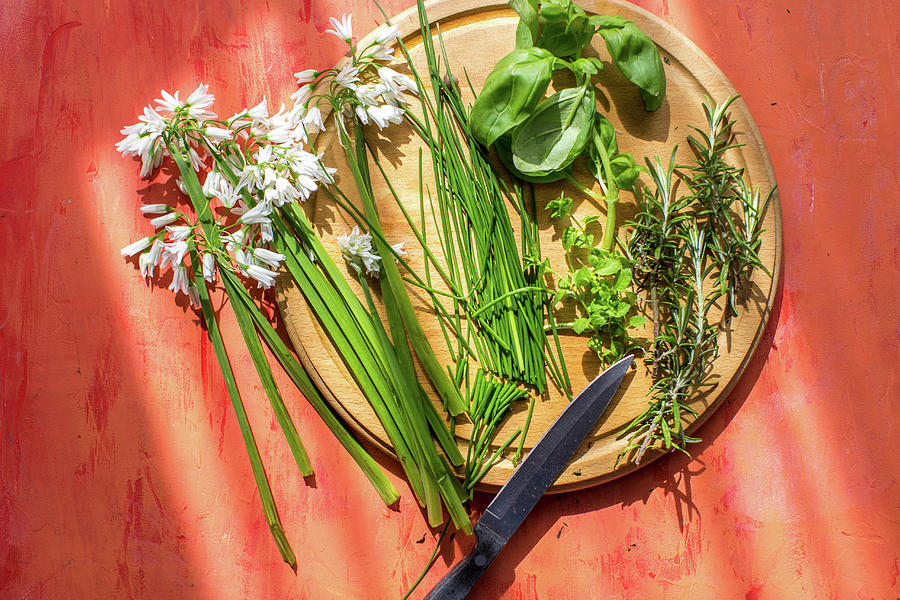 Basil, Chives, Mint, Tyme And Wild Garlic #1 Photograph by Lara Jane Thorpe