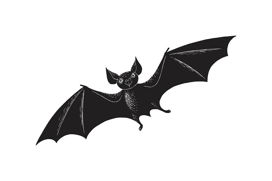 Bat Flying Drawing by CSA Images - Fine Art America