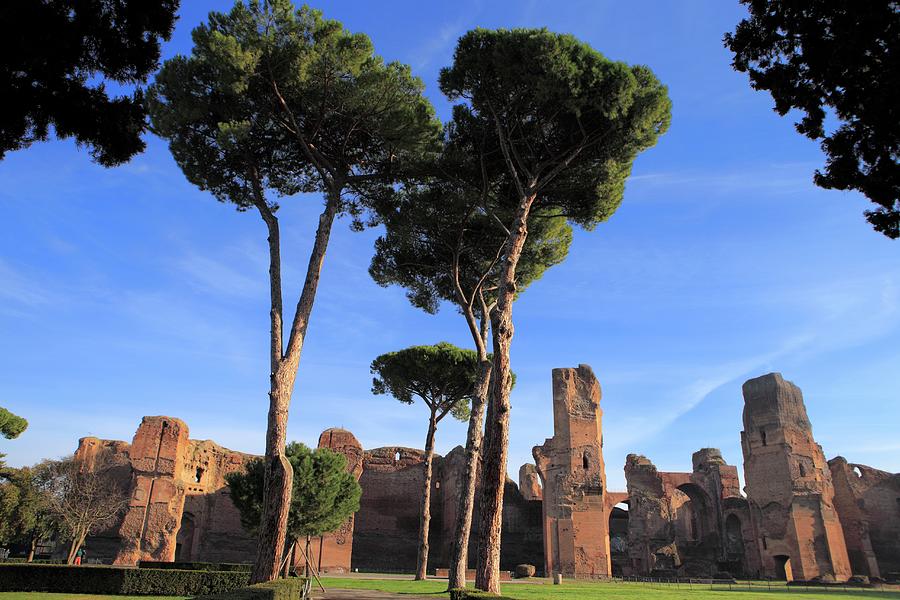 Baths Of Caracalla 217 Photograph by Ivan Vdovin - Fine Art America