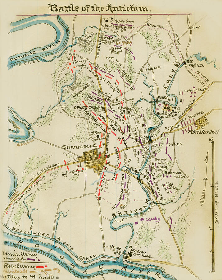 Battle of Antietam or Sharpsburg Painting by Robert Knox Sneden - Fine ...