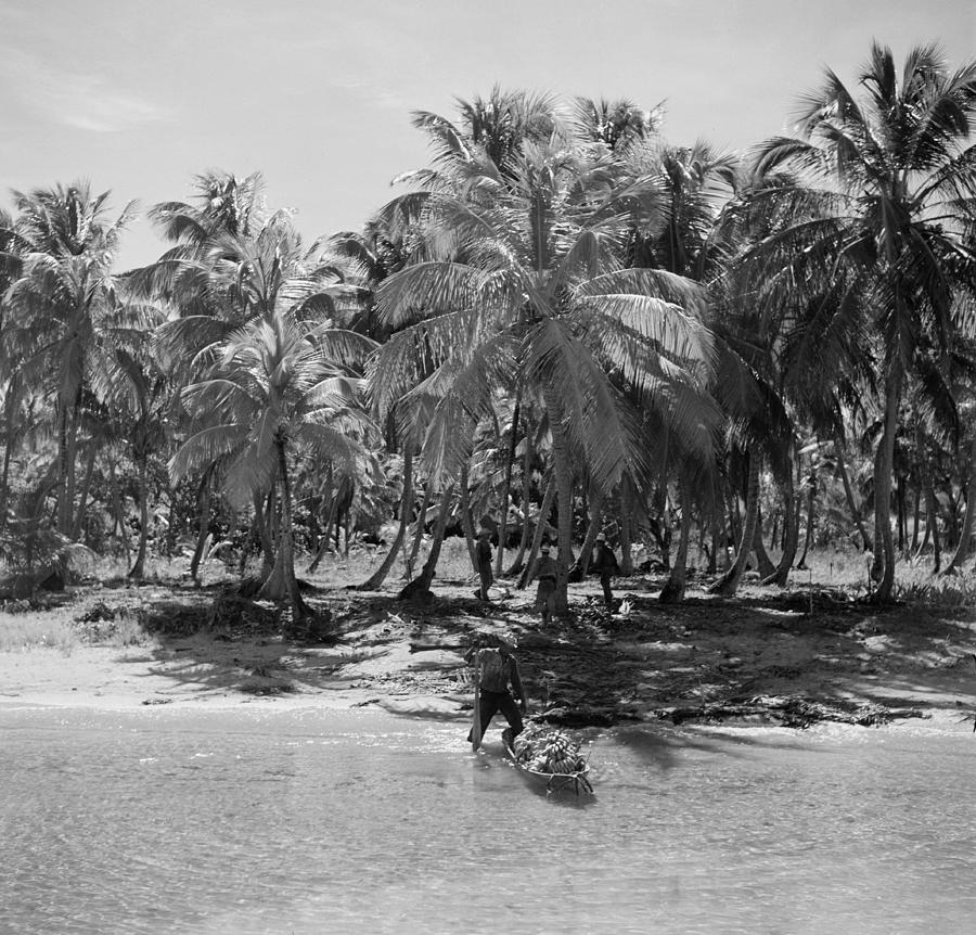 Bay Islands, Honduras #1 Photograph by Michael Ochs Archives