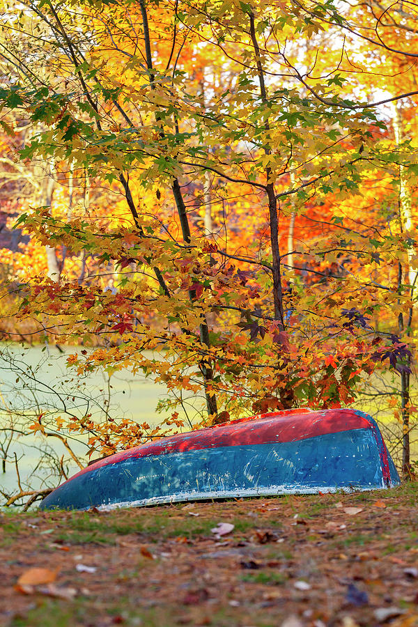 Fall Digital Art - Bayley Arboretum, Bayville Ny #1 by Lumiere