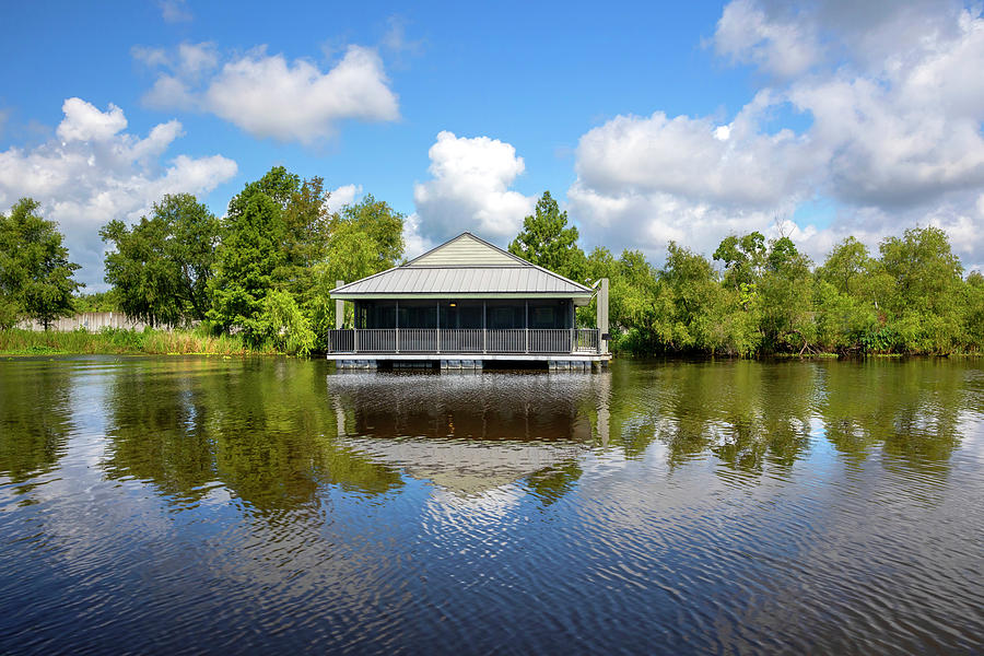 Bayou Segnette State Park, La Digital Art by Claudia Uripos