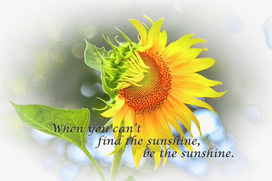Be the Sunshine by Ola Allen Be the Sunshine by Ola Allen