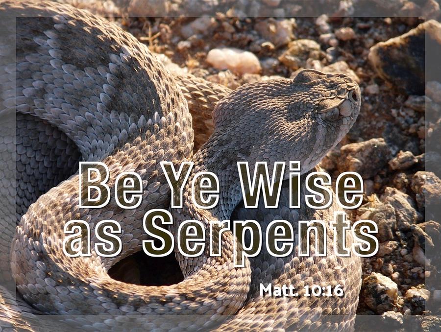Be Ye Wise as Serpents #2 Photograph by Judy Kennedy