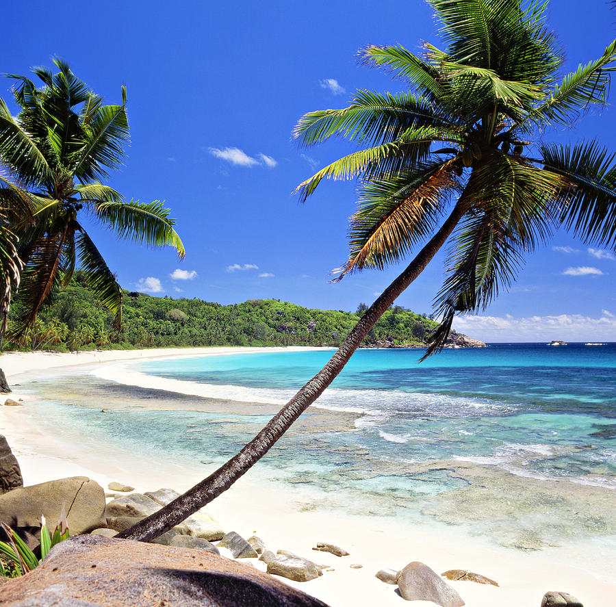 Beach At Anse Intendance, Seychelles Digital Art by Johanna Huber ...