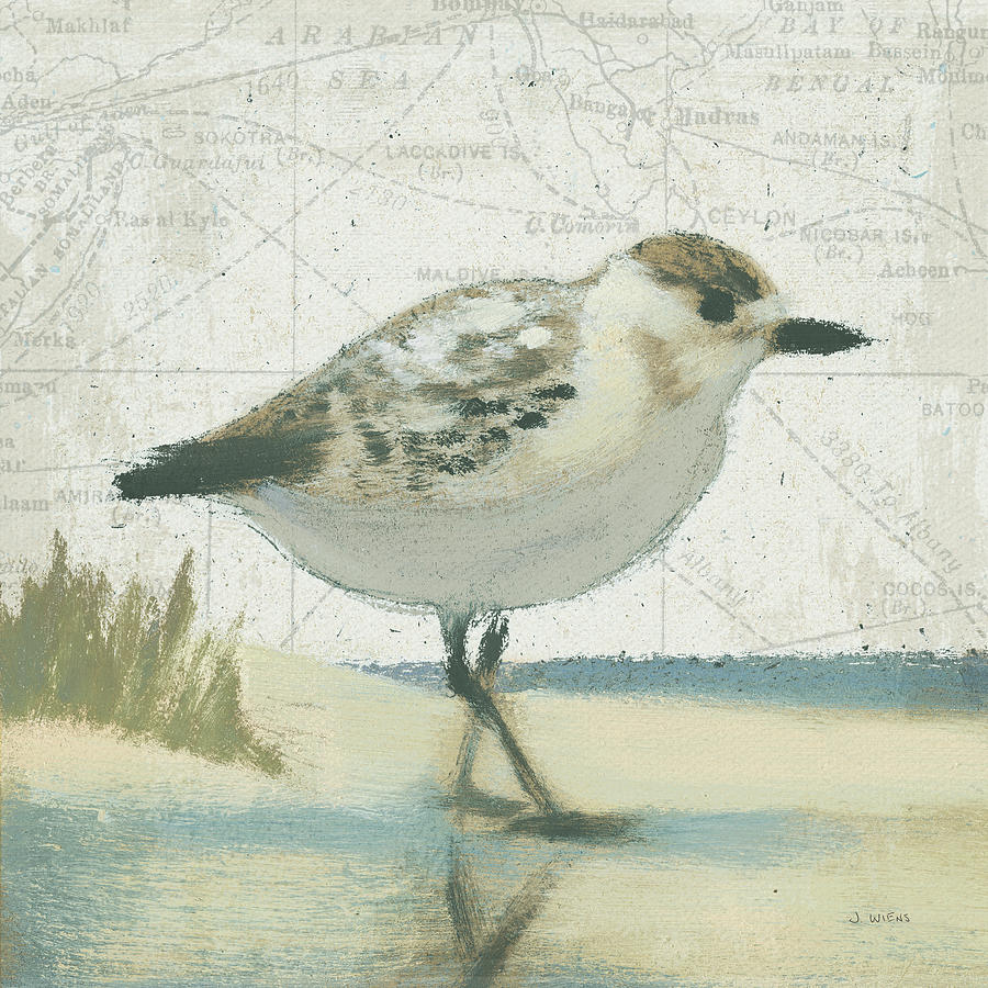 Animal Painting - Beach Bird I #1 by James Wiens