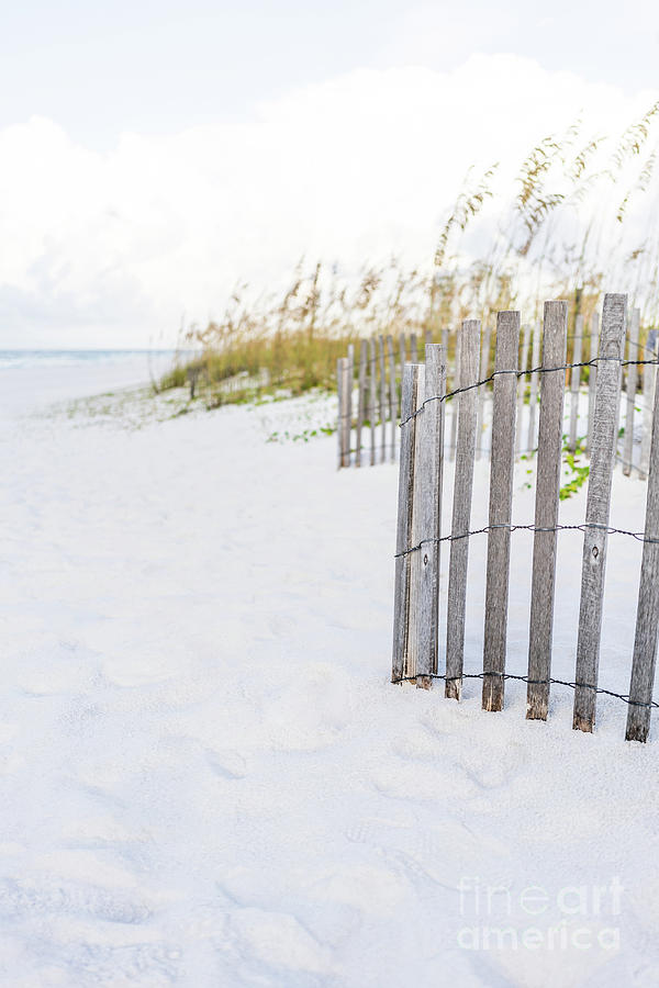 Beach Fence in Pensacola Beach Florida Photo #1 Photograph by Paul Velgos