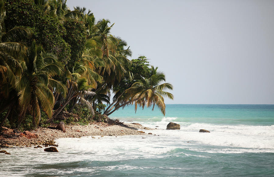 Beach In Haiti #1 Photograph by 1001nights
