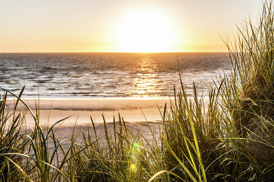 Beach In Sunset, Kampen, Sylt, Schleswig-holstein, Germany Photograph ...