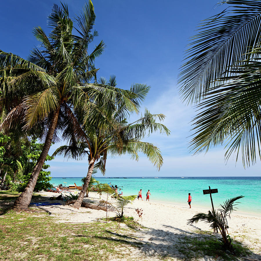 Beach With Palm Trees Digital Art by Luigi Vaccarella - Fine Art America