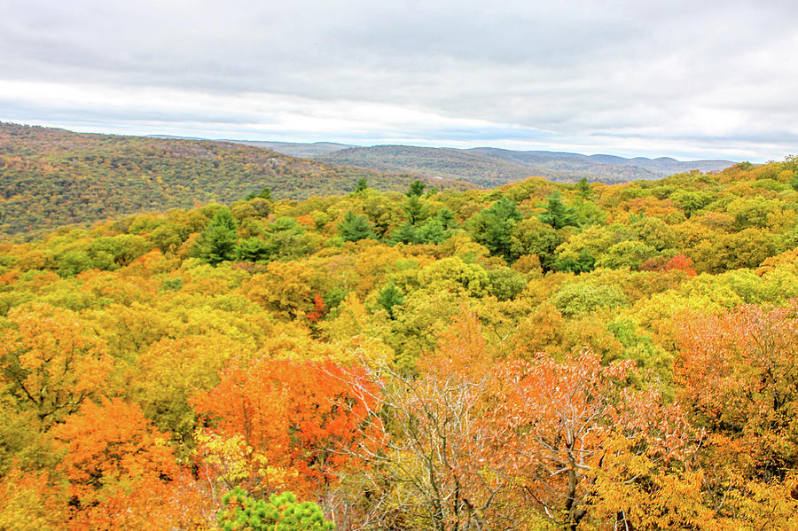 Bear Mountain Fall Photograph by William E Rogers - Fine Art America