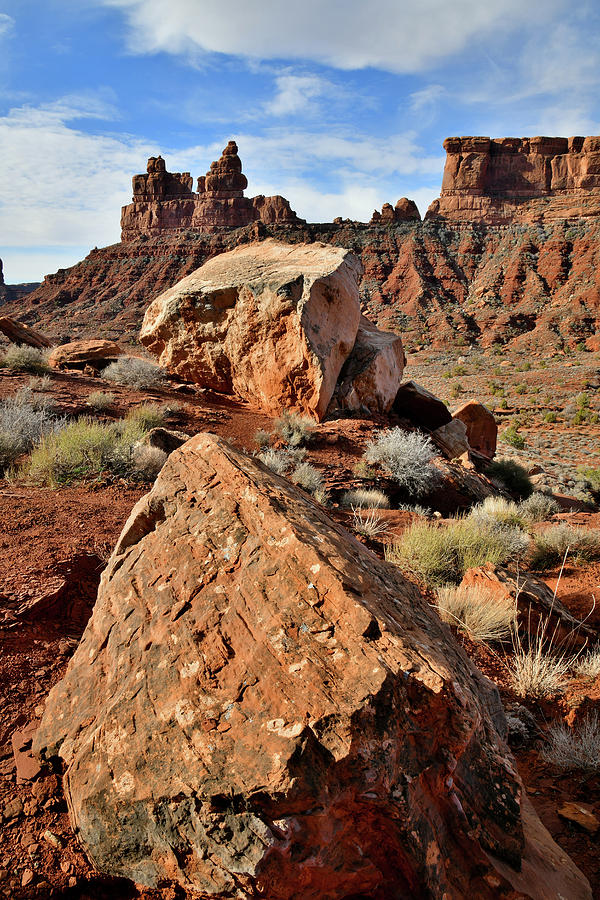 Beautiful Boulders in Valley of the Gods #1 Photograph by Ray Mathis