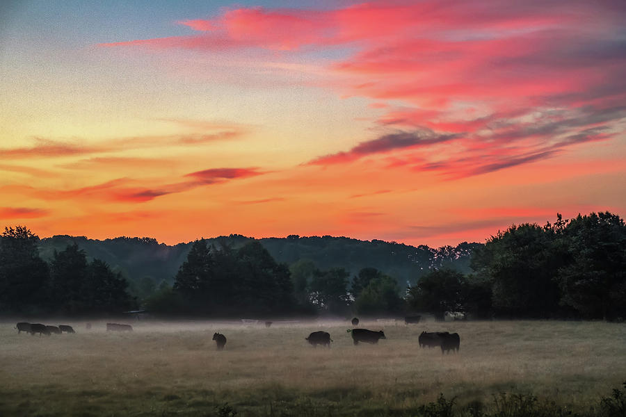 Beautiful Dreamy Sunrise On The Farm Land In The Country #1 Photograph by Alex Grichenko