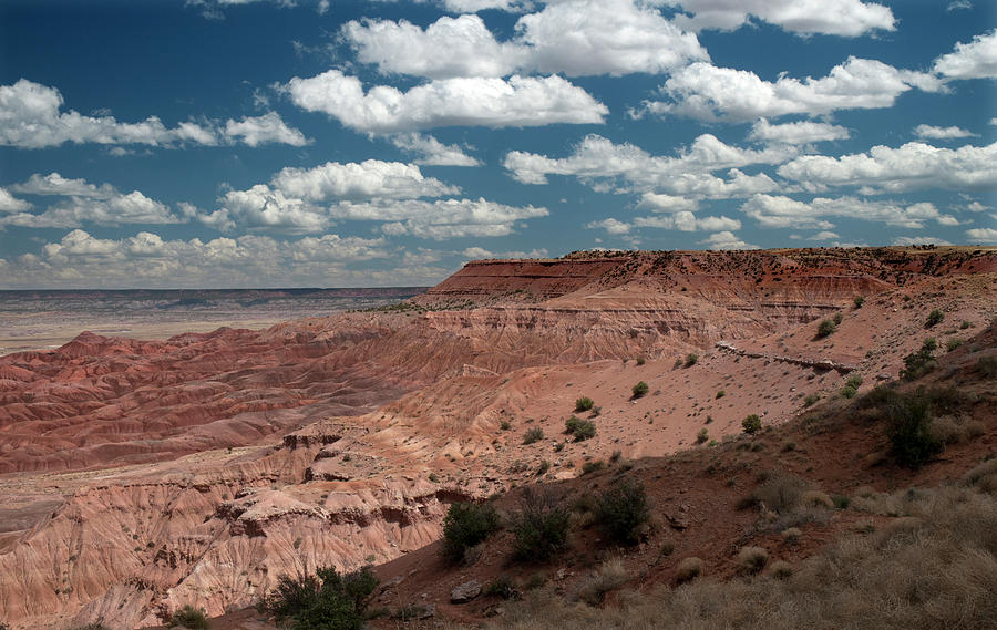 Beautiful Rock Formations Of Canyon De #1 Photograph by Mitch Diamond