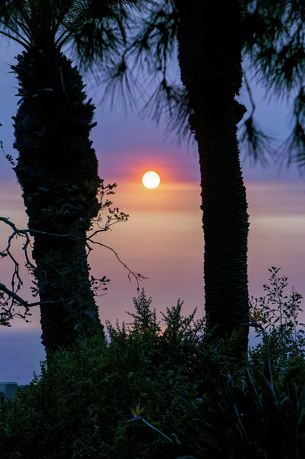 Beautiful Sunset In Santa Monica California #1 Photograph by Alex Grichenko