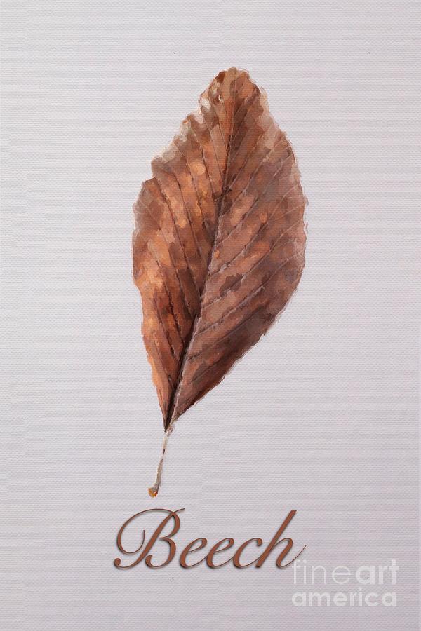 Nature Painting - Beech Leaf #1 by John Edwards