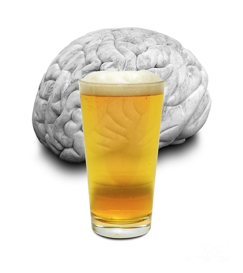 Beer With Brain Photograph by Victor De Schwanberg/science Photo ...