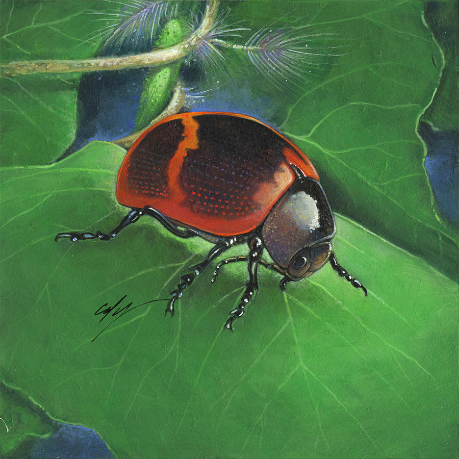 Beetle Painting - Beetle #1 by Durwood Coffey