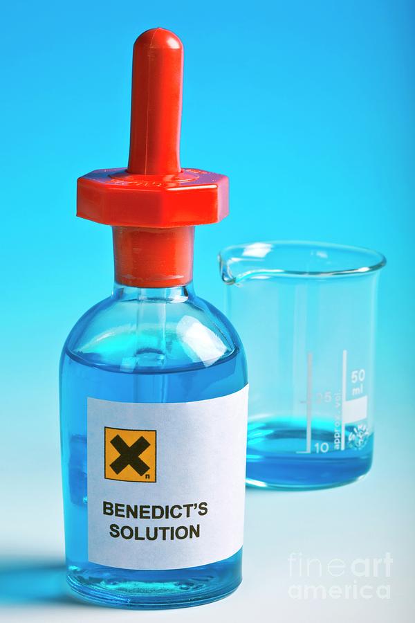 Benedicts Solution #1 Photograph by Martyn F. Chillmaid/science Photo Library