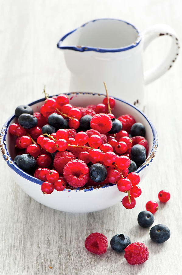 Berries #1 Photograph by Verdina Anna