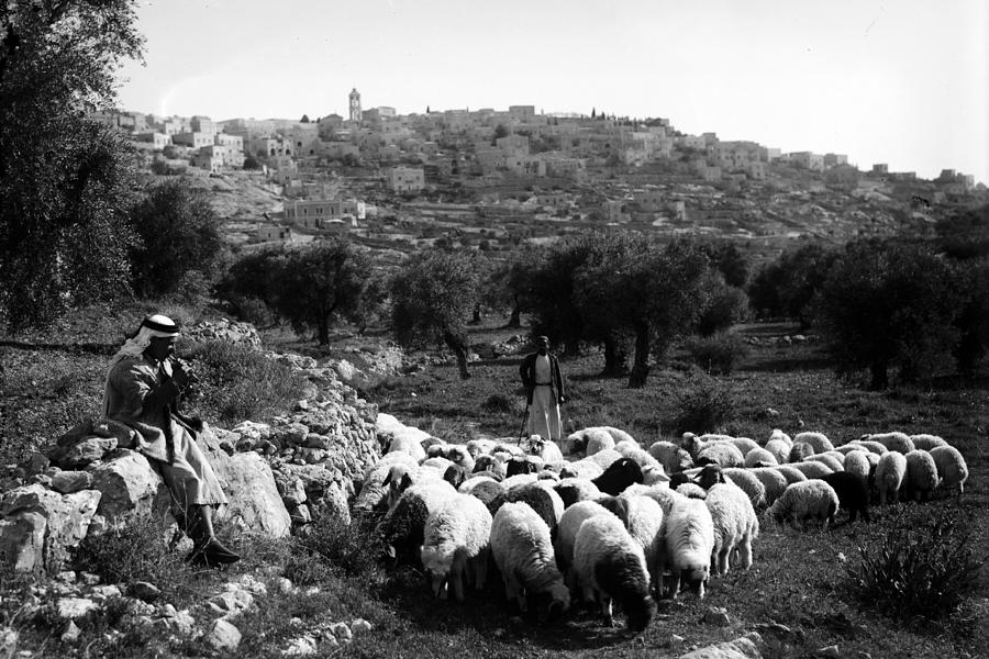Bethlehem Shepherd #1 Photograph by Munir Alawi