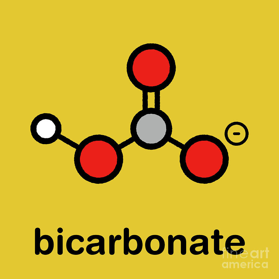 Bicarbonate Anion Chemical Structure #1 Photograph by Molekuul/science Photo Library